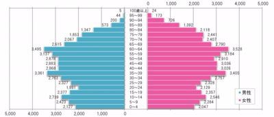 人口の年齢別分布