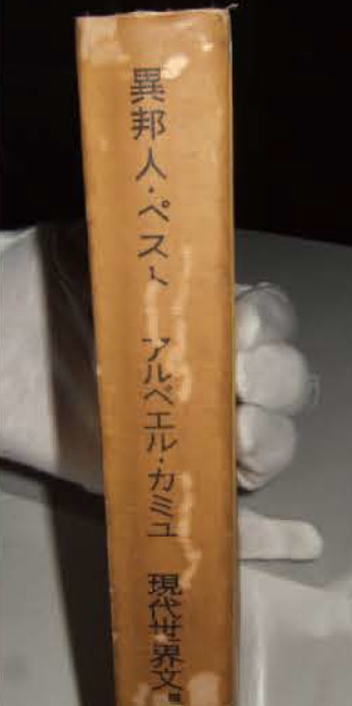 ゴキブリによる書籍の被害